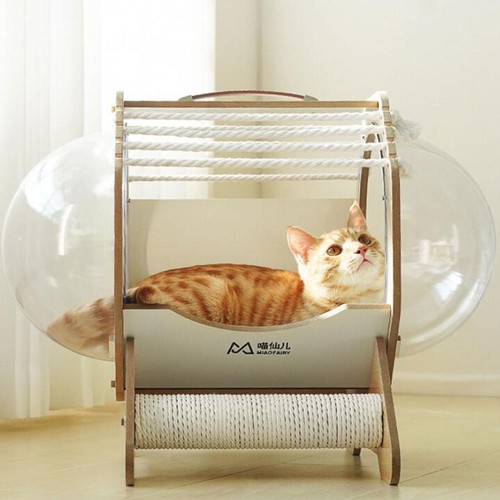 Capsule cat bed kitten - capsule, nest